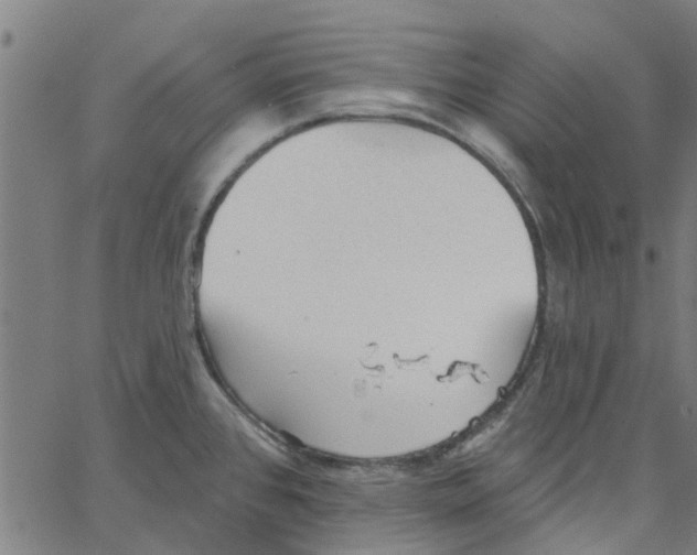 X0000067511384200604281557