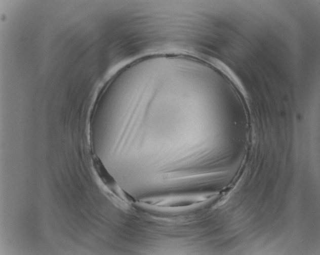 X0000067511388200604281557