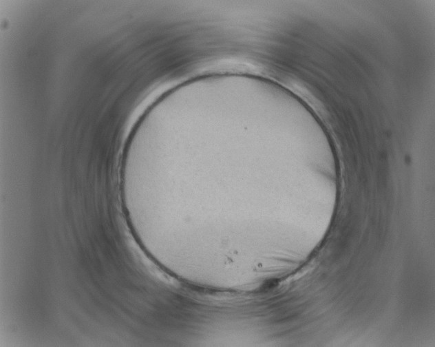 X0000067511392200604281557