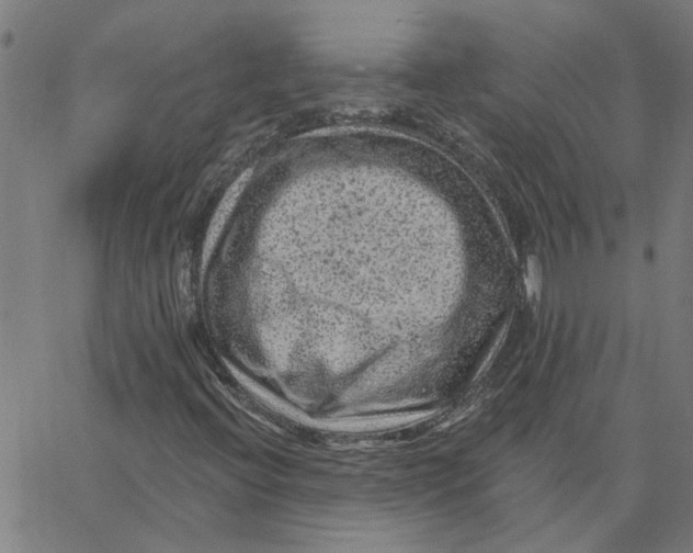 X0000067511396200604281556