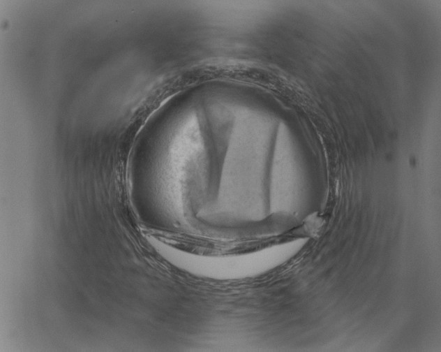 X0000067511397200604281556