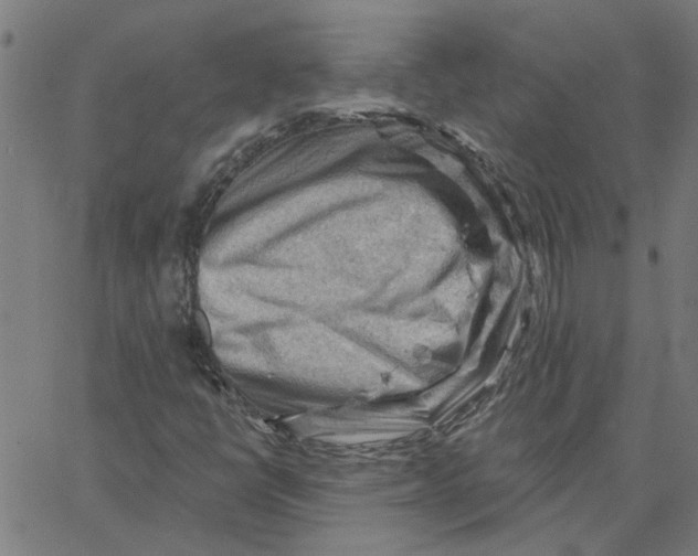 X0000067511398200604281556