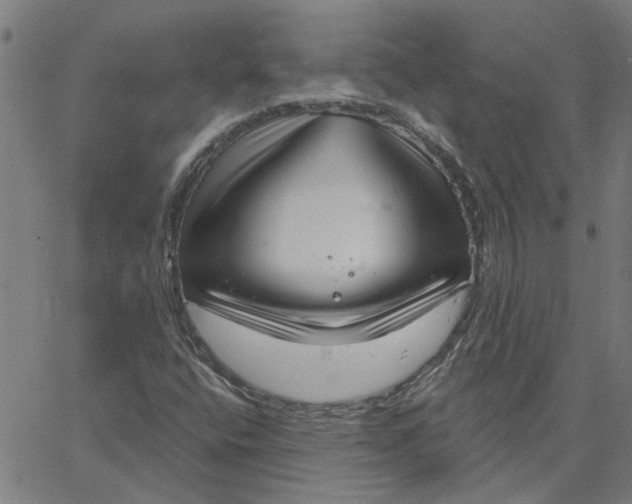 X0000067511400200604281556