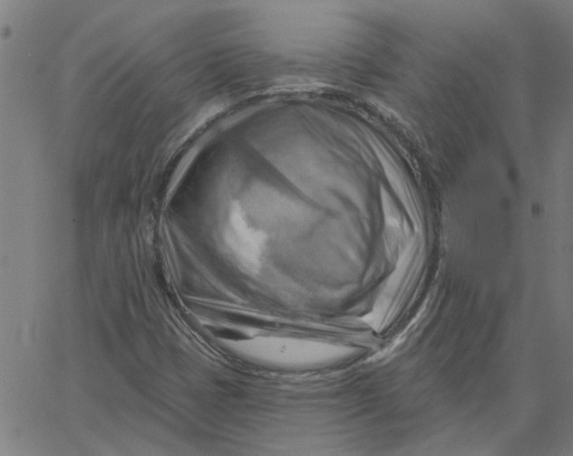 X0000067511401200604281556