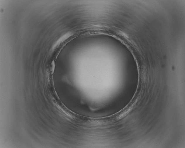 X0000067511402200604281556