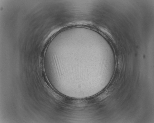 X0000067511404200604281556