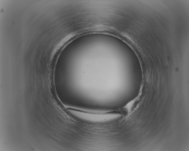 X0000067511410200604281556