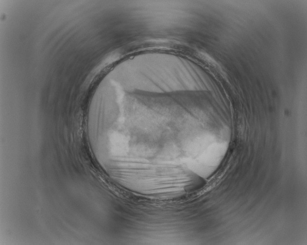 X0000067511411200604281556