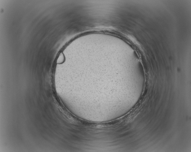 X0000067511412200604281556