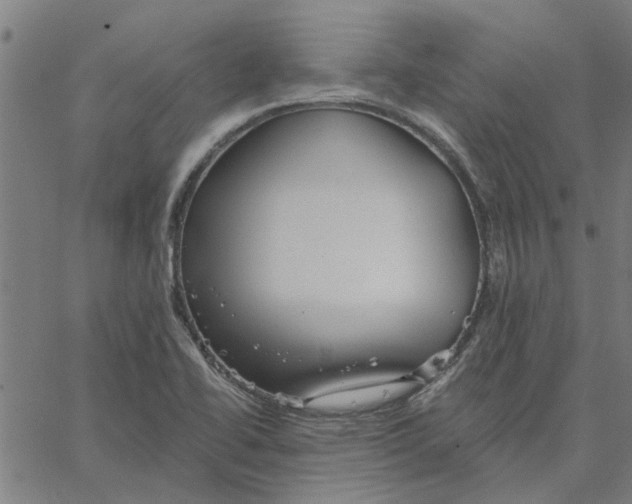 X0000067511414200604281557