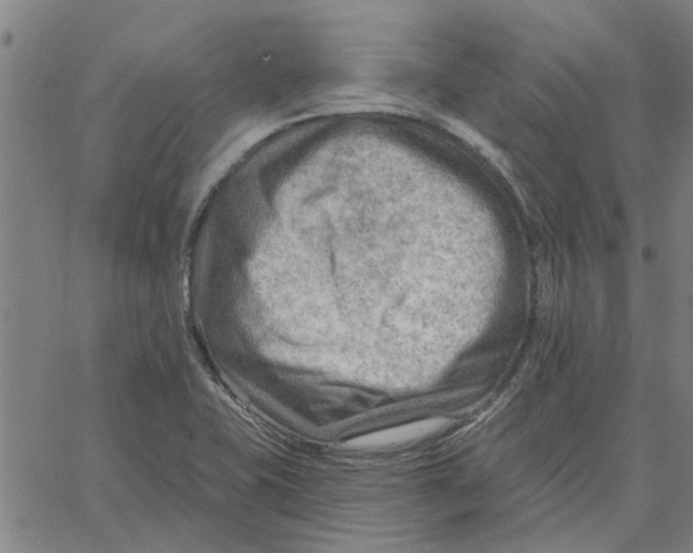 X0000067511415200604281557