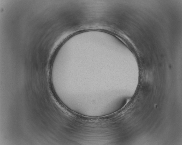 X0000067511416200604281557