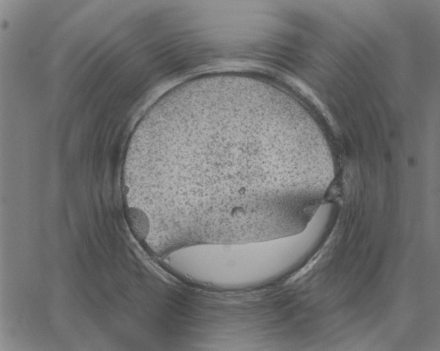 X0000067511417200604281557