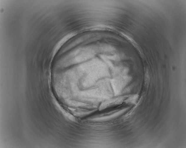 X0000067511418200604281557