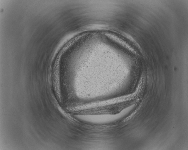 X0000067511421200604281557