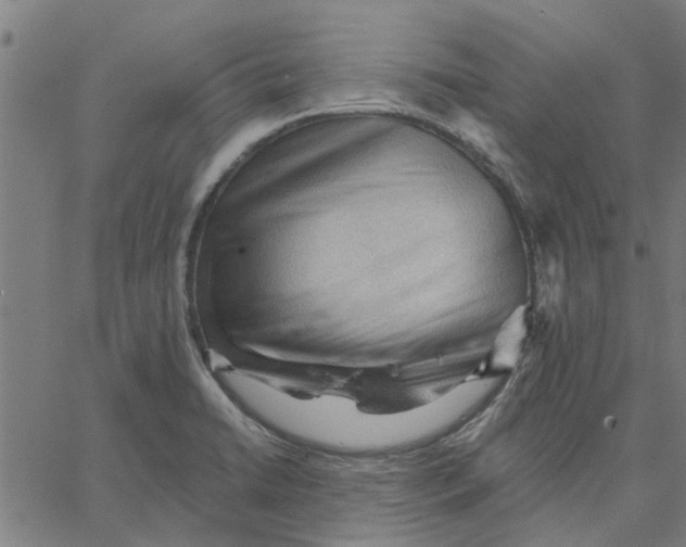 X0000067511422200604281557