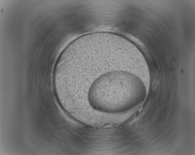 X0000067511423200604281557