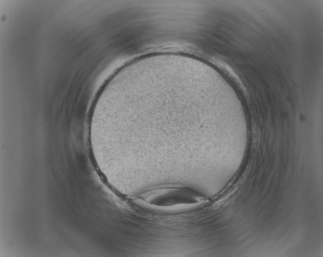 X0000067511424200604281557