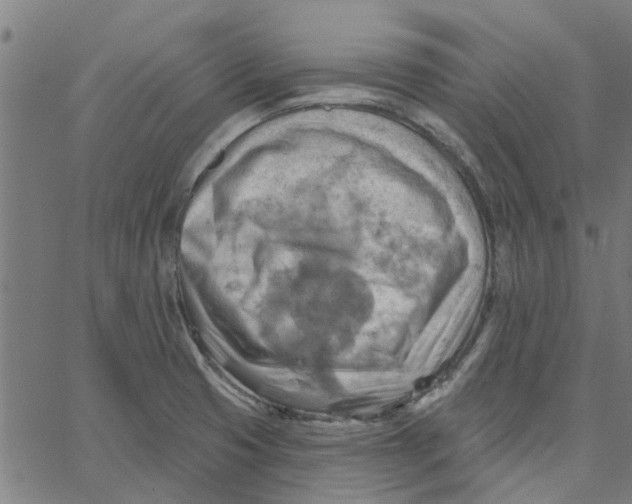 X0000067511425200604281557