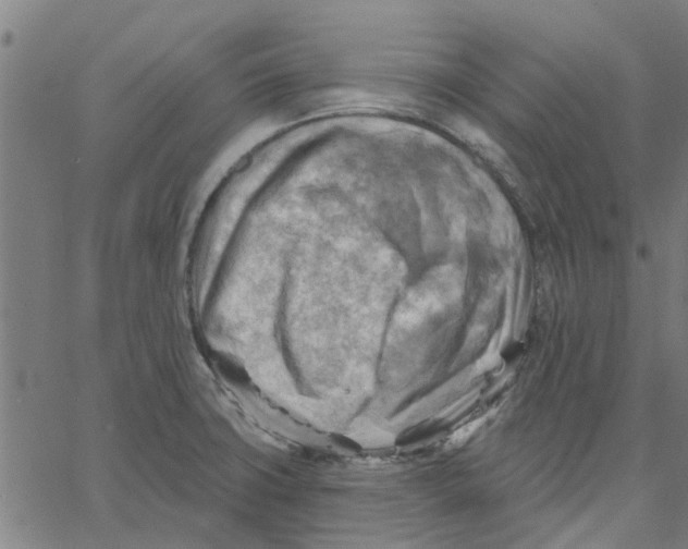 X0000067511427200604281557