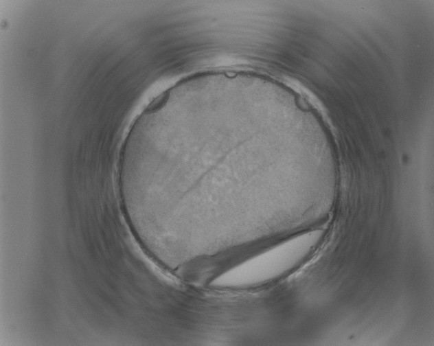 X0000067511429200604281557