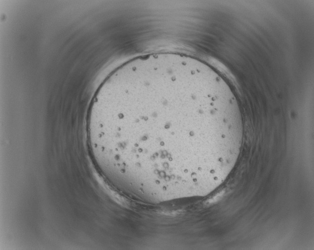 X0000067511431200604281557