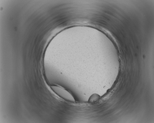 X0000067511432200604281557