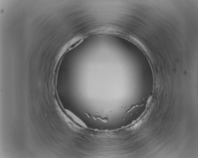 X0000067511434200604281557