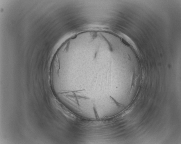 X0000067511435200604281557