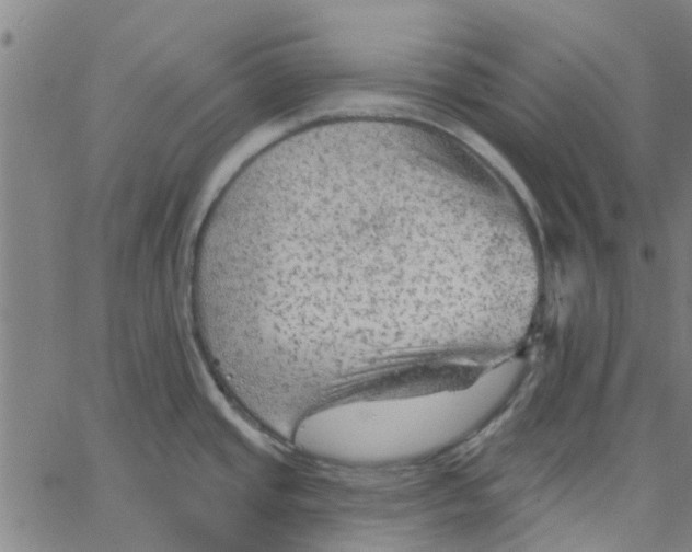 X0000067511437200604281557