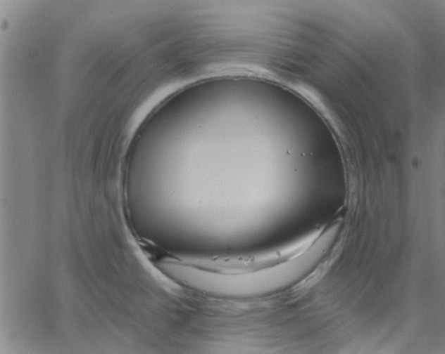 X0000067511438200604281557