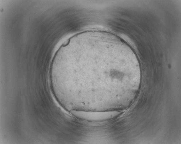 X0000067511440200604281557