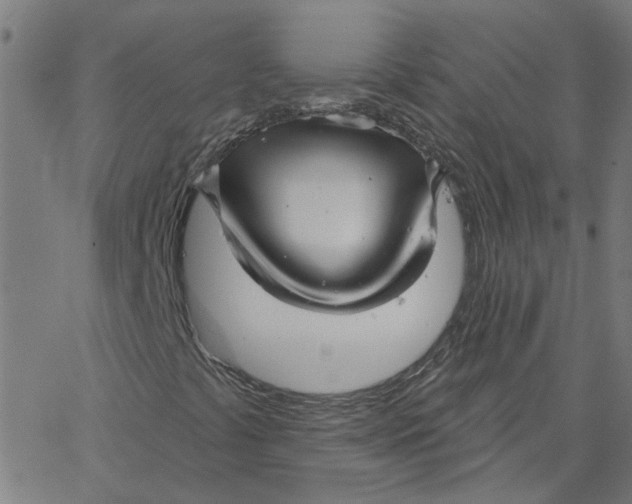 X0000067511441200604281556