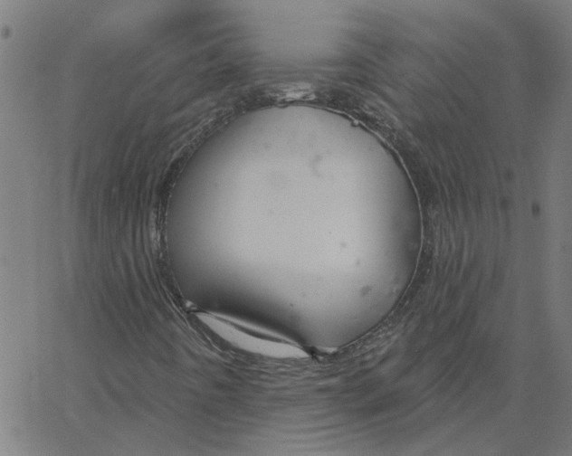 X0000067511442200604281556