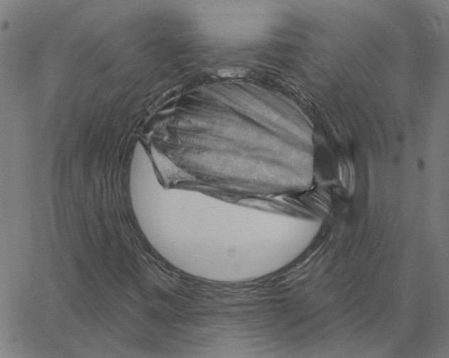 X0000067511443200604281556