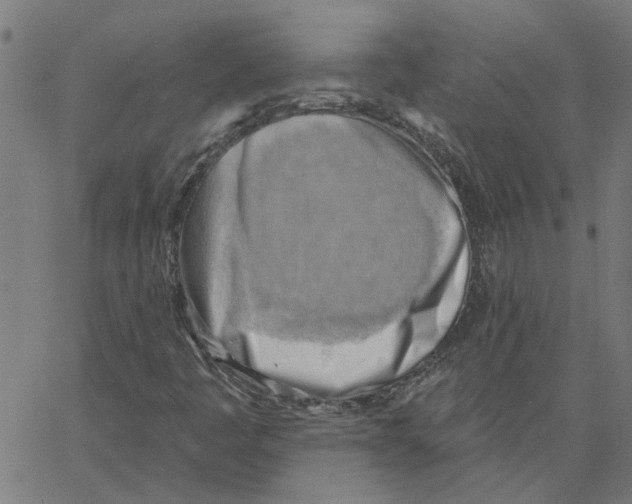 X0000067511445200604281556