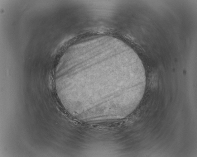 X0000067511446200604281556