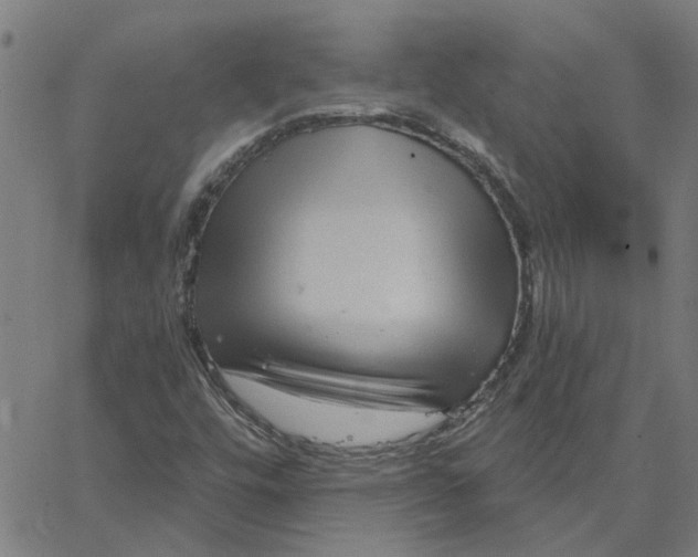 X0000067511448200604281556