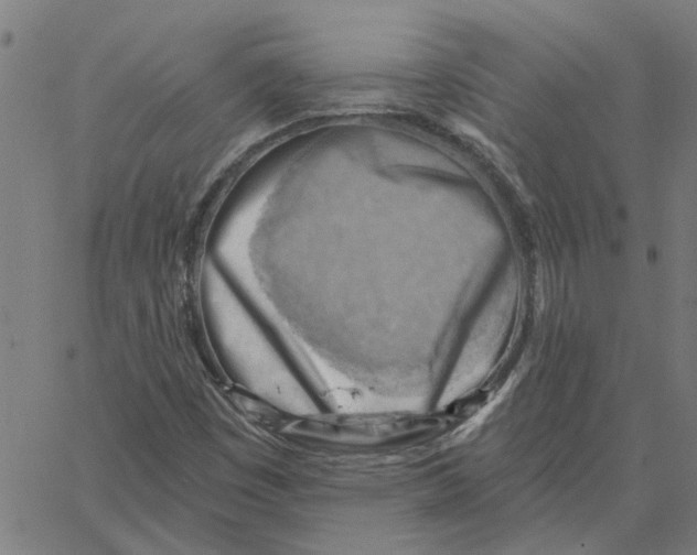 X0000067511449200604281556