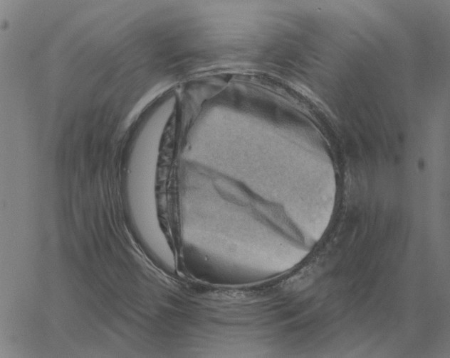 X0000067511450200604281556