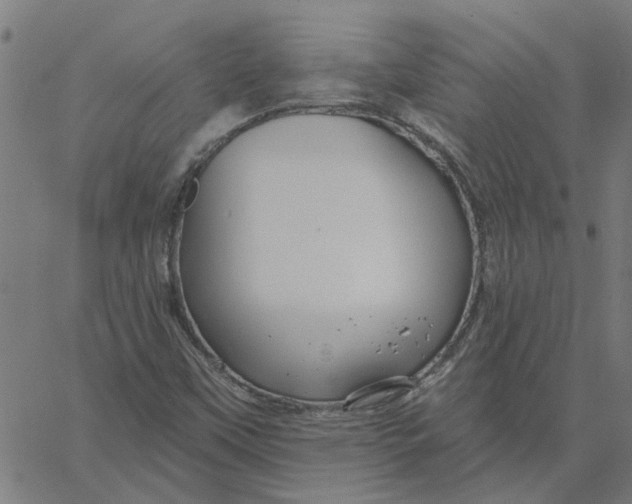 X0000067511451200604281556