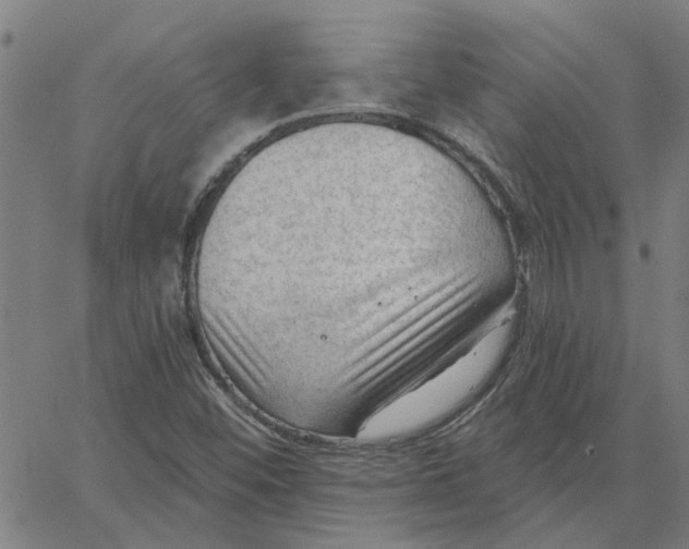 X0000067511452200604281556