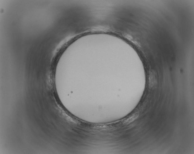 X0000067511454200604281556