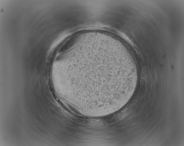 X0000067511456200604281556