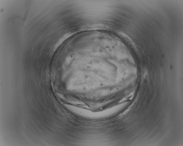 X0000067511457200604281556