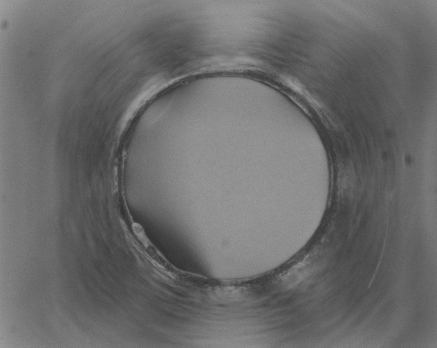 X0000067511459200604281556