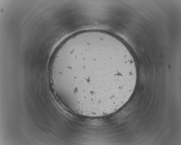 X0000067511460200604281556