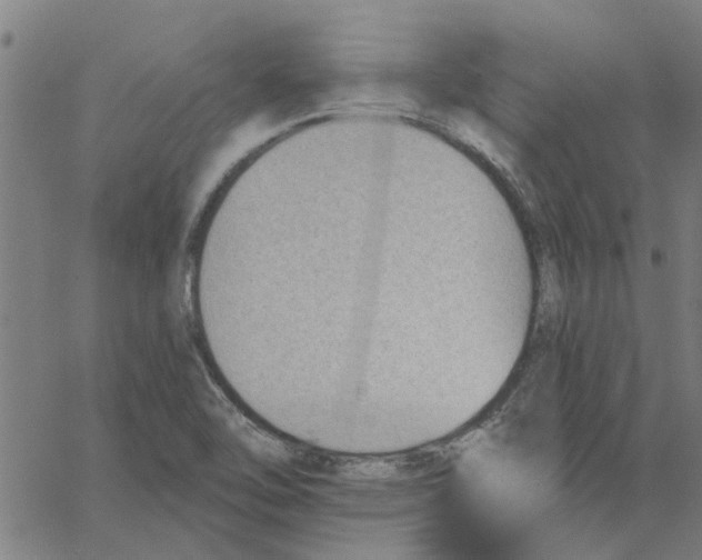 X0000067511462200604281556