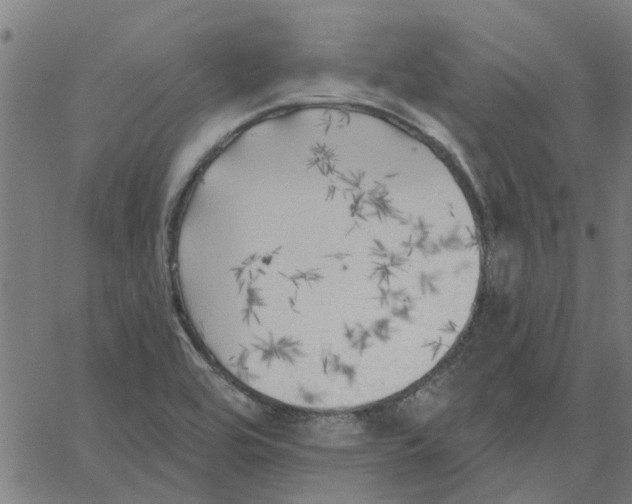 X0000067511464200604281556