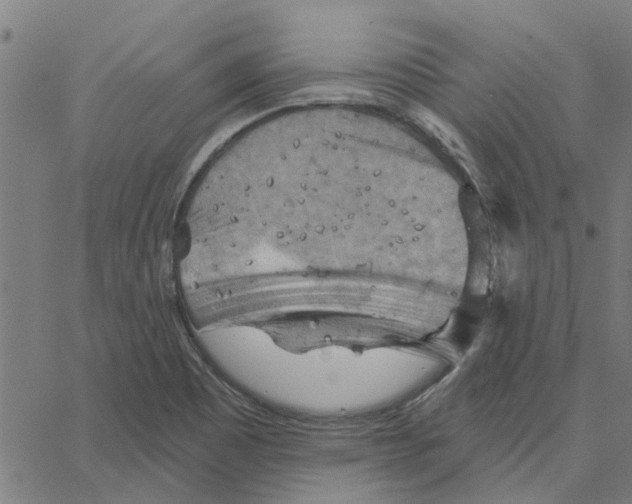 X0000067511465200604281556